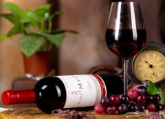 【進口案例】智利紅酒進口報關代理服務